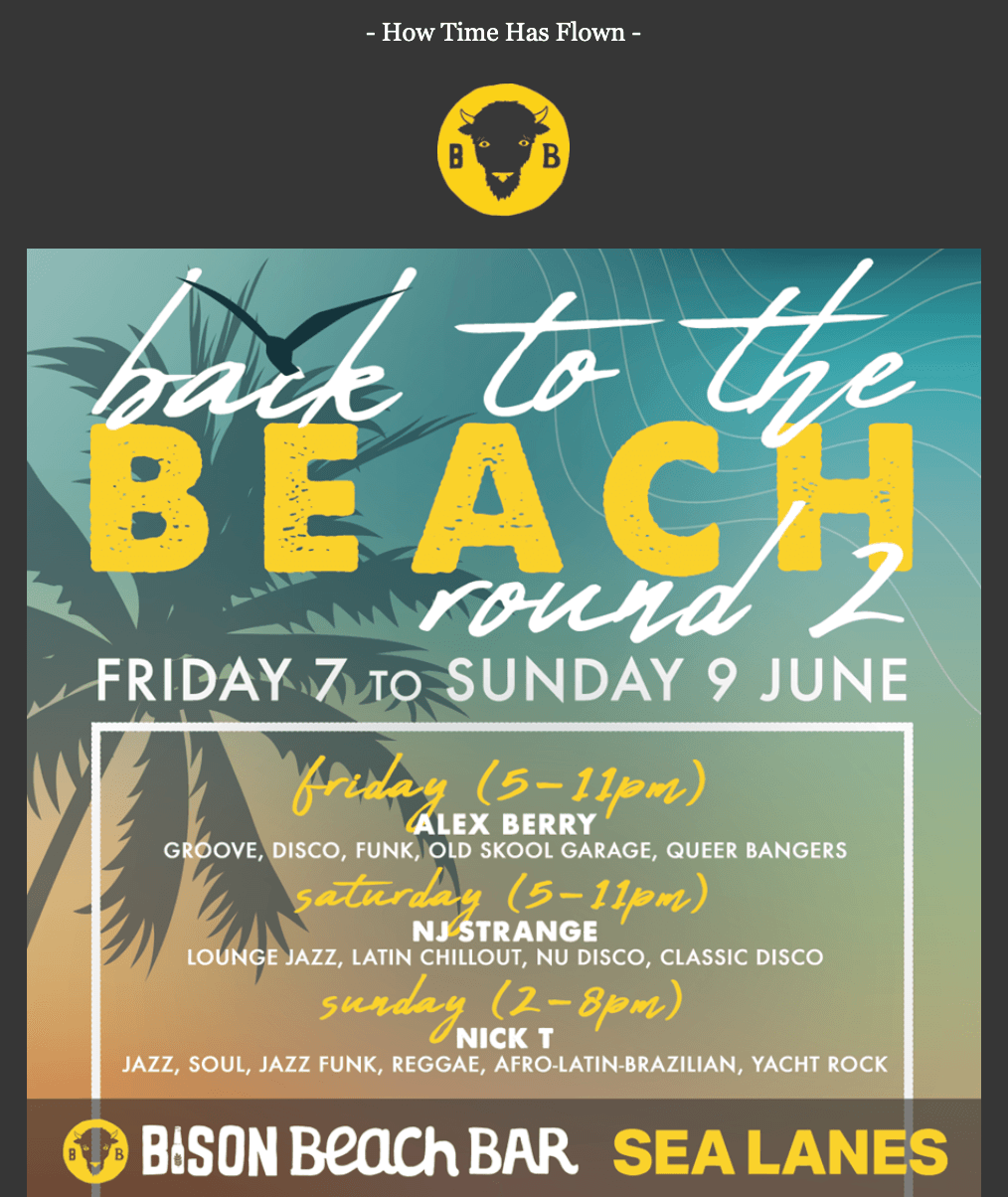 Email Marketing: Bison Beer